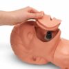 Simulaids Adam Defibrillation/CPR Training Manikin - Image 5