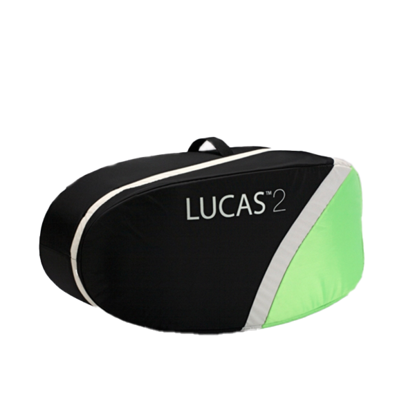 Lucas 2 Carrying Bag